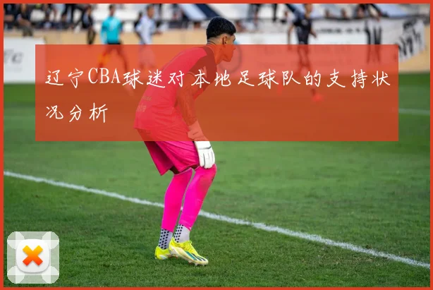 辽宁CBA球迷对本地足球队的支持状况分析