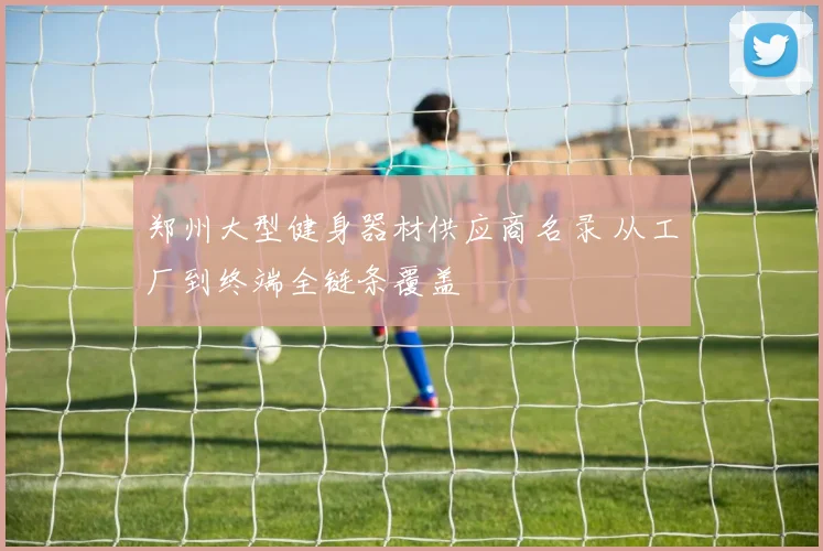 郑州大型健身器材供应商名录 从工厂到终端全链条覆盖