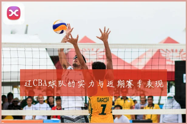 辽CBA球队的实力与近期赛季表现